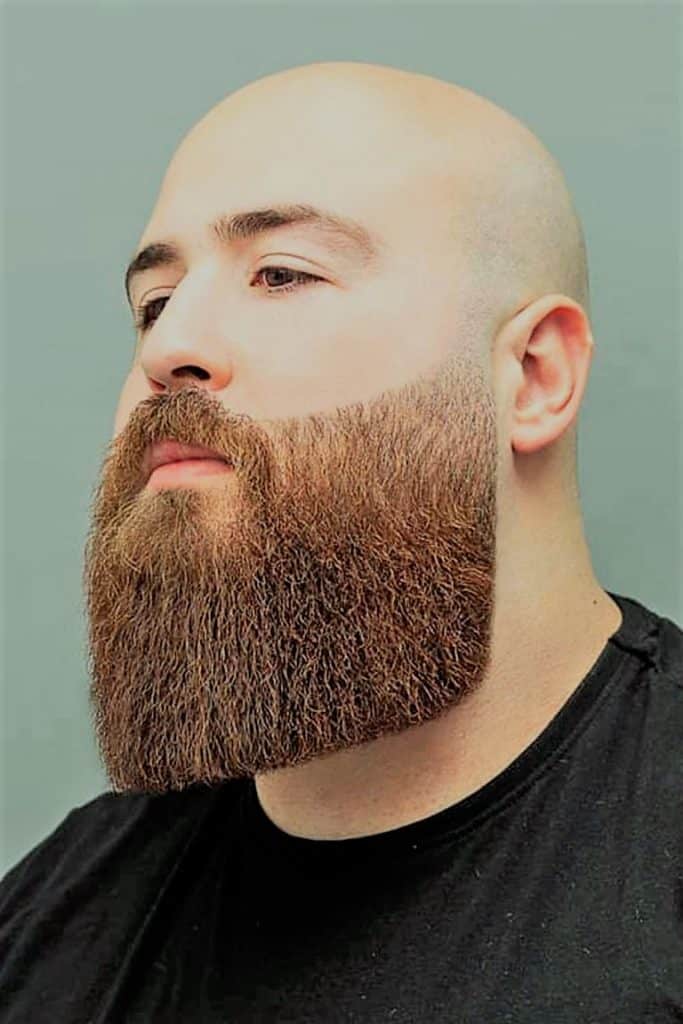 beard-fade-trimming-sizes-full-long-bald-head